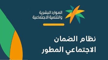 تحديد قيمة المعاش وطريقة التسجيل في الضمان الاجتماعي للحصول على الدعم الشهري