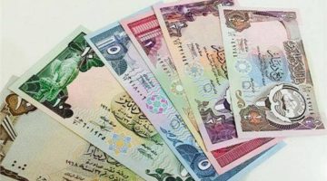 بشري عيد الأضحي .. سعر الدينار الكويتي في السوق السوداء اليوم الأحد 16 يونيو 2024 والبنوك المصرية