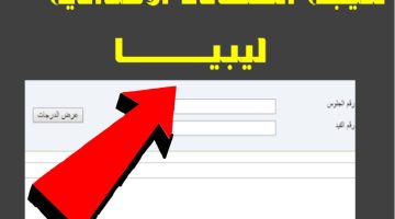 رابط استخراج نتيجة الشهادة الاعدادية ليبيا 2024 عبر موقع منظومة نتائج الامتحانات moe.gov.ly