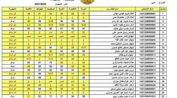 اعرف نتيجتك.. رابط تحميل نتائج الثالث المتوسط 2024 pdf في عموم العراق من موقع وزارة التربية العراقية