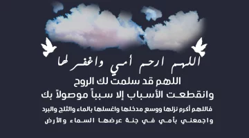 “دعاء للام المتوفيه في يوم عرفه” اللهمّ إن أمي في ذمتك وحبل جوارك فقها يا رب فتنة القبر