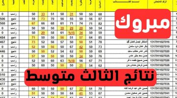 نتائج الثالث المتوسط 2024 الدور الاول Pdf عبر موقع وزارة التربية والتعليم جميع المحافظات