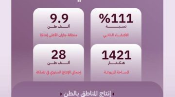 111 % الاكتفاء الذاتي من التين