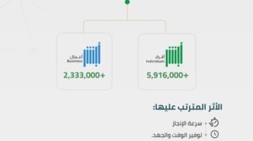 8.2 مليون عملية إلكترونية عبر أبشر⁩ خلال أغسطس 2024م