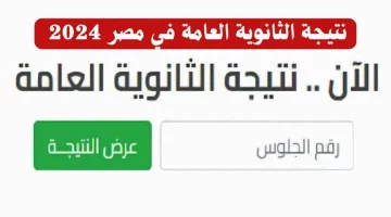 moe.gov.eg رابط نتيجة الثانوية العامة موقع الوزارة الدور الثاني برقم الجلوس 2024