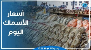 أسعار الأسماك اليوم السبت 14-9-2024 في محافظة البحيرة