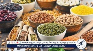 أسعار البقوليات اليوم الأربعاء 18-9-2024 في المنيا