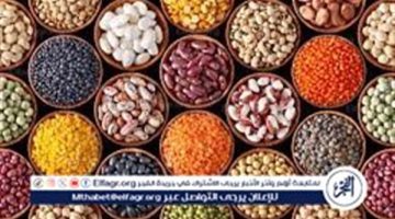 أسعار البقوليات اليوم الجمعة 20-9-2024 في أسواق ومحال محافظة قنا