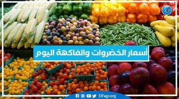 أسعار الخضروات والفاكهة اليوم الأربعاء 18-9-2024 في أسواق محافظة البحيرة