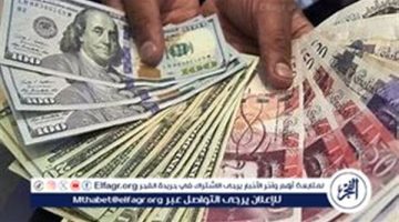 أسعار العملات بالنك المركزي المصري