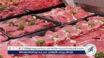 أسعار اللحوم البلدي والكندوز اليوم الإثنين 16-9-2024   في الأسواق ومحال الجزارة بقنا