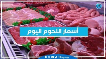 أسعار اللحوم اليوم الأربعاء 18-9-2024 في أسواق محافظة البحيرة