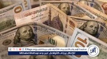 استقرار سعر الدولار أمام الجنيه المصري اليوم 18 سبتمبر 2024