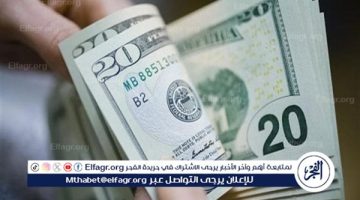 استقرار سعر الدولار أمام الجنيه المصري اليوم الجمعة 20 سبتمبر 2024