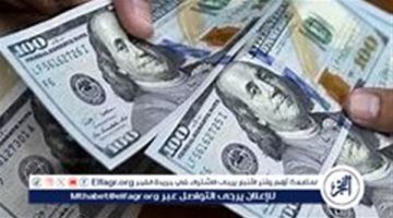 استقرار سعر الدولار مقابل الجنيه المصري اليوم الخميس 12 سبتمبر 2024