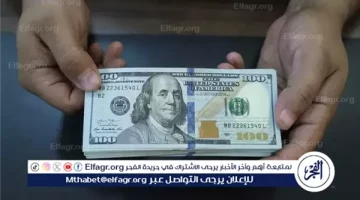 استقرار ملحوظ في الأسعار مع عطلة نهاية الأسبوع