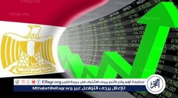 الدولة تتخذ خطوات جدية للانتقال بالاقتصاد المصري لمرحلة الإنتاجية