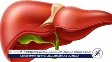 الكبد الدهني هو الوباء القادم على مستوى العالم