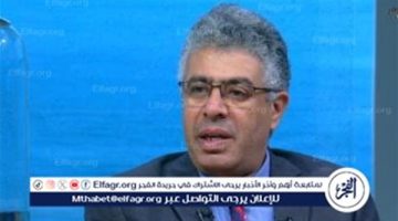 ترحيب مصر بقرار إنهاء الاحتلال الإسرائيلي خلال 12 شهرًا “طبيعي ومنطقي” (فيديو)