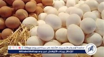 خبر سار من “شعبة الدواجن” بشأن أسعار كرتونة البيض (فيديو)