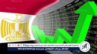 خبير: تحسين مناخ الاستثمار هدفا استراتيجيا بالنسبة لـ الدولة المصرية