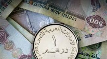 سعر صرف الدرهم الإماراتي أمام الجنيه المصري اليوم