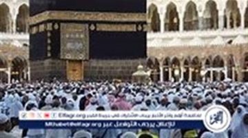 سعر عمرة المولد النبوي لعام 2024 الاقتصادية لمدة أسبوعين.. وكيفية التسجيل إلكترونيا