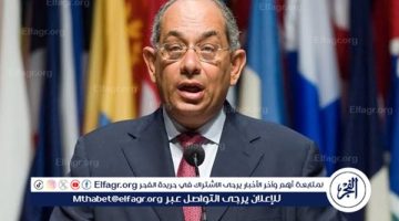 عودة يوسف بطرس غالي.. كيف ستؤثر براءته على المشهد الاقتصادي في مصر؟