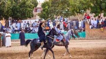 فيديو| سباق الخيل والمُشالاة أبرز مظاهر مرماح “العماري” بالأقصر