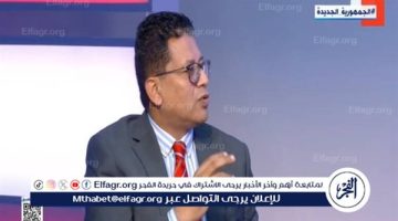 مصر تتعامل مع الأزمات التي تحدث على حدودها بشكل من العقلانية والدبلوماسية