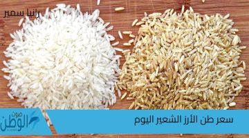 يسجل كم؟.. سعر طن الأرز الشعير اليوم السبت 7/9/2024 في الأسواق للحبة الرفيعة والعريضة