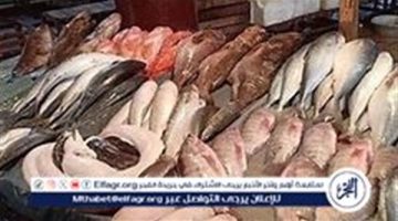 أسعار السمك البلطي والبوري اليوم الأحد 27-10-2024 في محافظة قنا