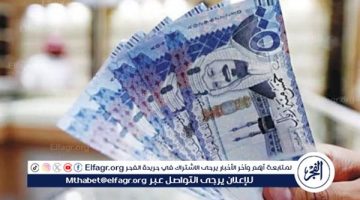 استقرار سعر الريال السعودي مقابل الجنيه المصري في تعاملات 27 أكتوبر 2024