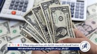 الأخضر الآن.. سعر الدولار مقابل الجنيه المصري اليوم 28 أكتوبر 2024