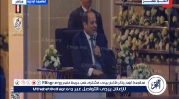 الرئيس السيسي: المصريون قادرون على عبور التحديات بروحهم الحاضرة