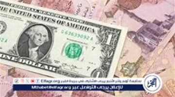 انخفاض سعر الدولار مقابل الجنيه المصري اليوم الأثنين 28 أكتوبر 2024