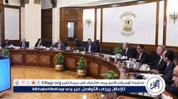 جهود الحكومة المصرية في تطوير قطاع التجزئة وتوقعات نموه حتى عام 2028