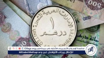 سعر الدرهم الإماراتي مقابل الجنيه المصري اليوم 28 أكتوبر 2024 في البنوك