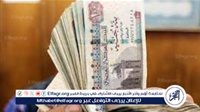 عاجل – زيادة المعاشات نوفمبر 2024.. شائعة أم حقيقة؟